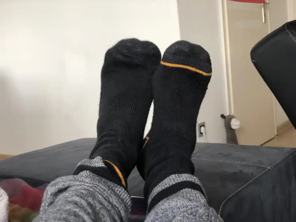 1767893500_5624737a02f233f4d910