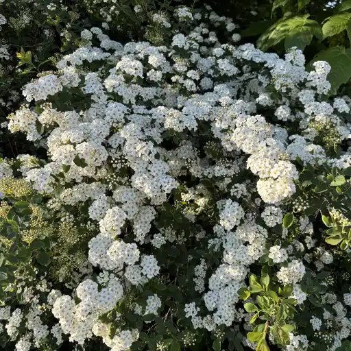 Το πείραμα ολοκληρώθηκε. Η κοινωνική μηχανική που εφαρμόζουν πάνω στα κορμιά μας ξεπερνά κάθε φαντασία.