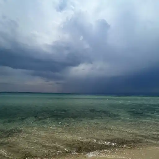 Απίστευτη ιστορία ανάρρωσης από καρκίνο του μαστού σταδίου 4 από τον Dr. John Campbell
