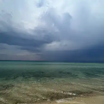 Απίστευτη ιστορία ανάρρωσης από καρκίνο του μαστού σταδίου 4 από τον Dr. John Campbell